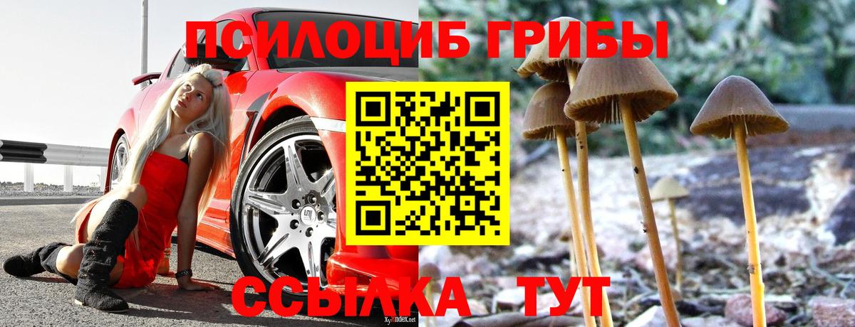 цена   Псилоцибиновые грибы ЛСД  Вход с VPN  Серпухов 